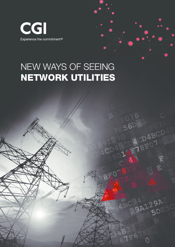 New Ways of Seeing Network Utilities – Optimized Network Utility