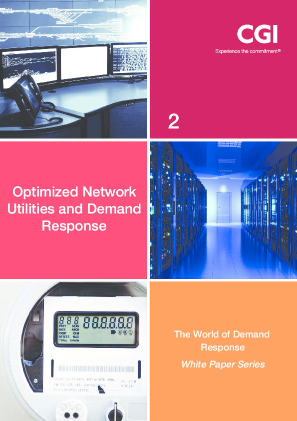 Optimized Network Utilities and Demand Response