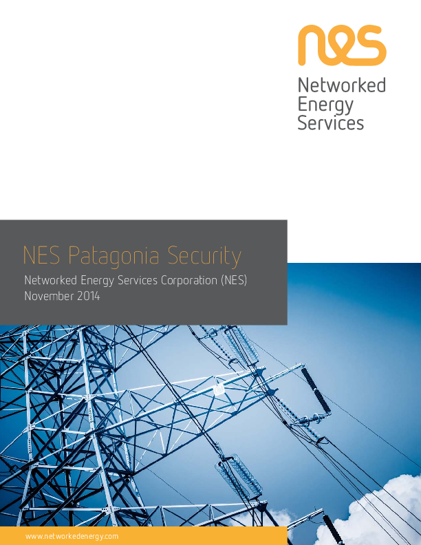 NES Patagonia Security
