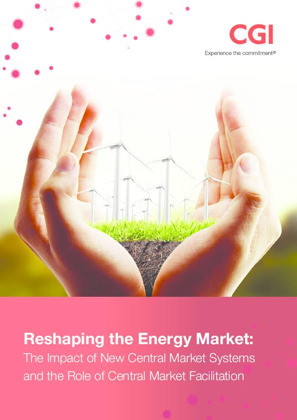 Reshaping the Energy Market: The Impact of New Central Market Systems and the Role of Central Market Facilitation