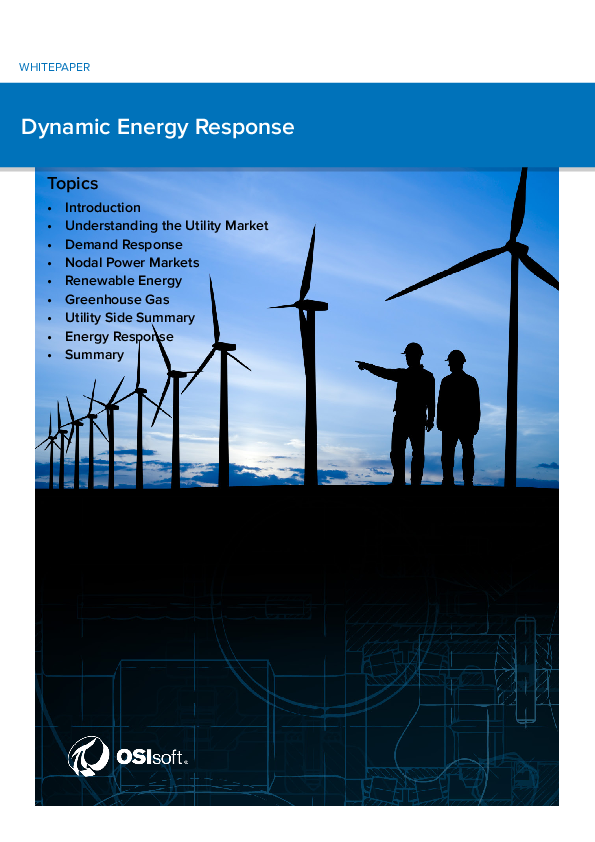 Dynamic Energy Response